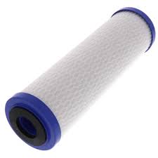 Pentair EP Series 10" x 2.5" 5 Micron Carbon Block Filter