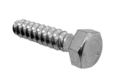 Pentair Stainless Steel Lag Bolt 5/16" x 1"