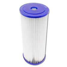 Harmsco WaterBetter 10" BB 5 Micron Polyester Pleated Filter Cartridge