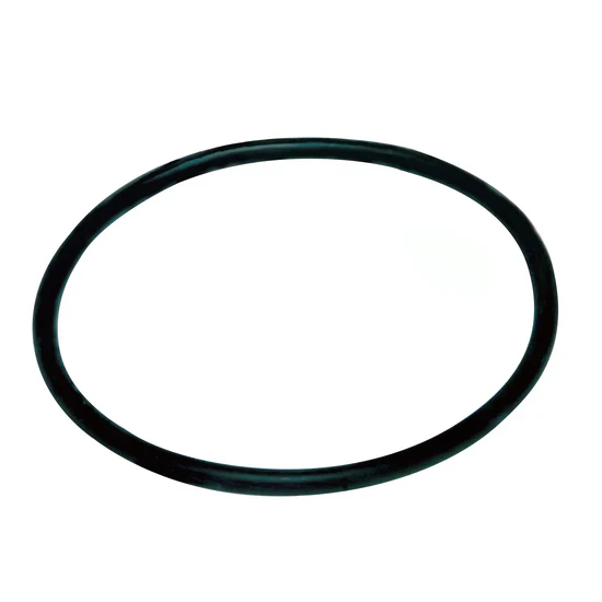 Pentair Buna-N O-Ring for Standard Housing