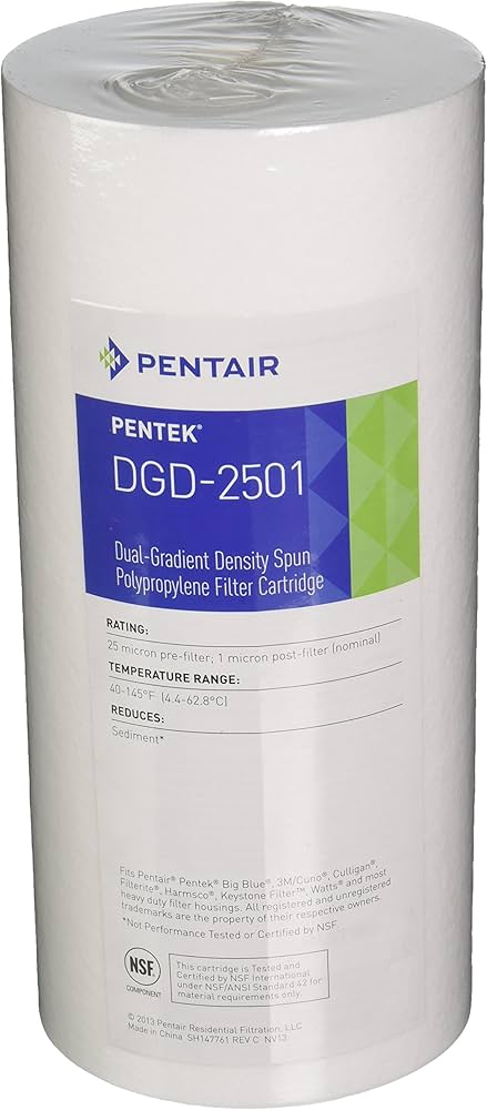 Pentair 25/1 Micron 20 Inch Dual Gradient Filter Cartridge