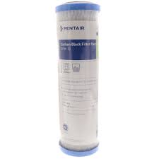 Pentair EPM Series 10" x 2.5" 10 Micron Carbon Block Filter