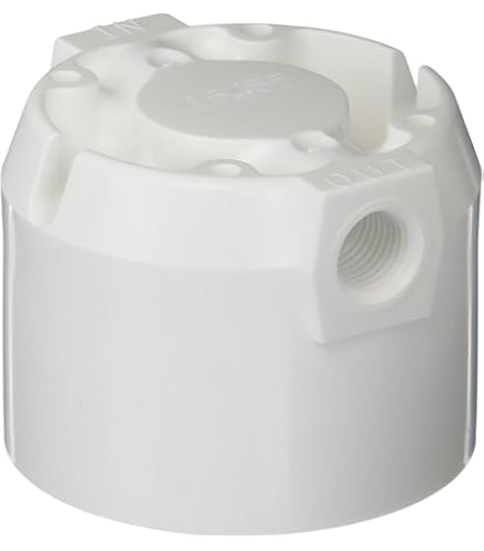 Omnipure 3 8" FPT Q-SERIES VALVED HEAD